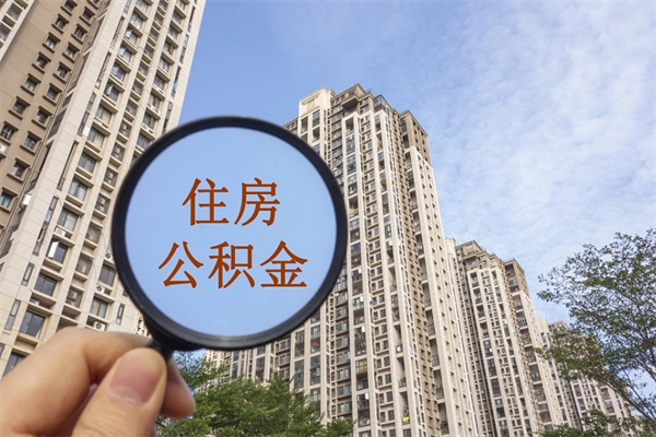 呼伦贝尔帮助取公积金（代取公积金app）
